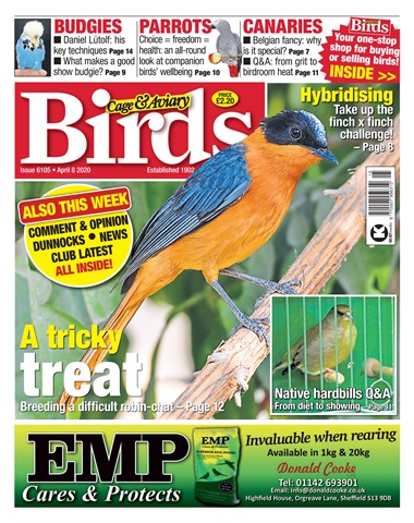 Cage & Aviary Birds issue 08/04/2020