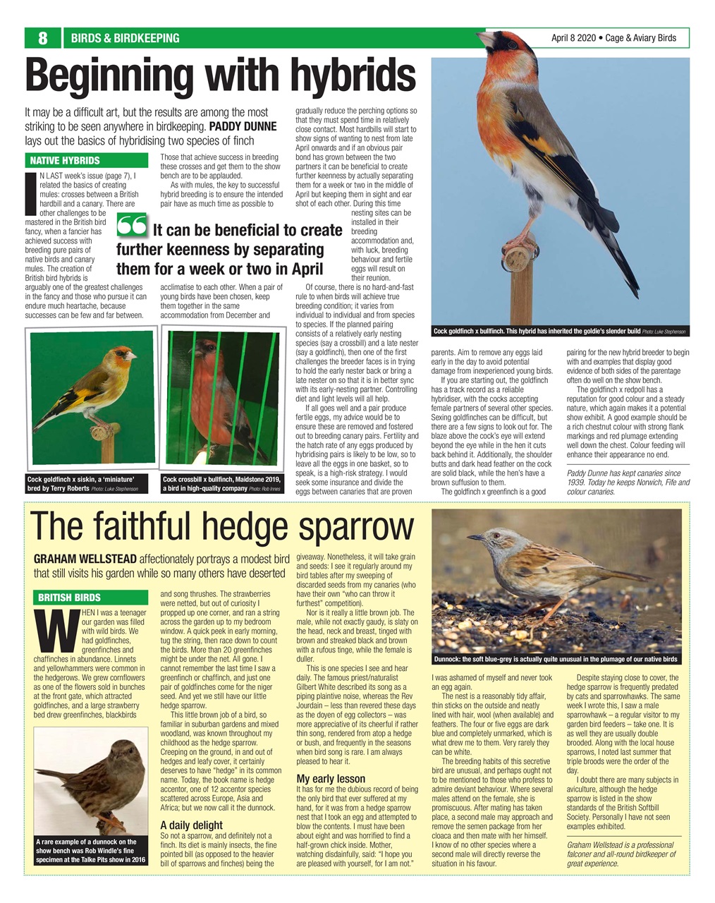 Cage & Aviary Birds Preview Pages