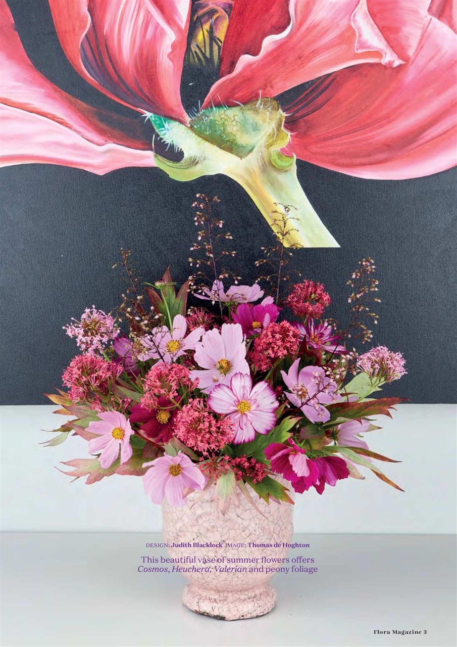 Flora International Preview Pages