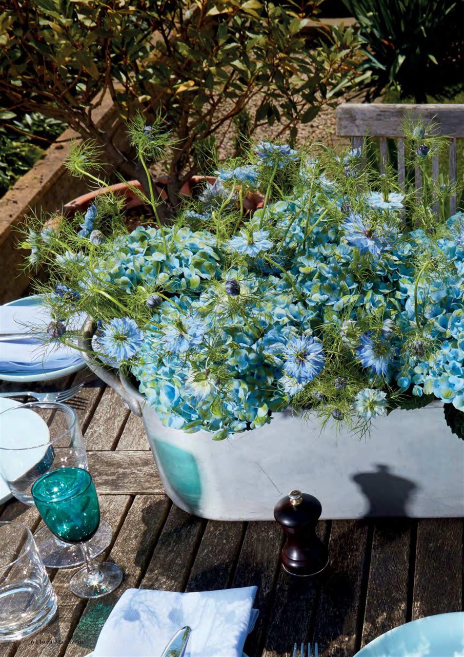 Flora International Preview Pages