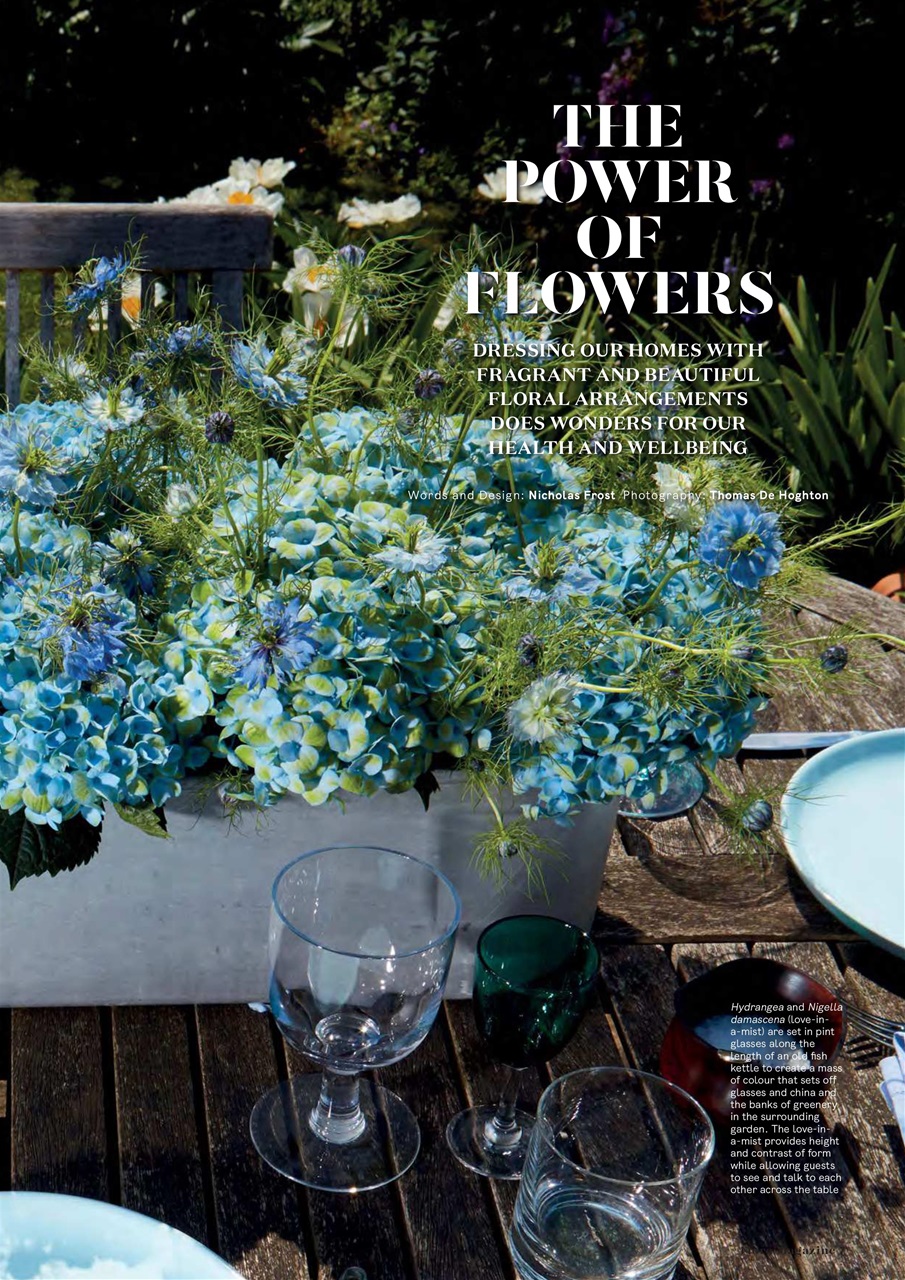 Flora International Preview Pages