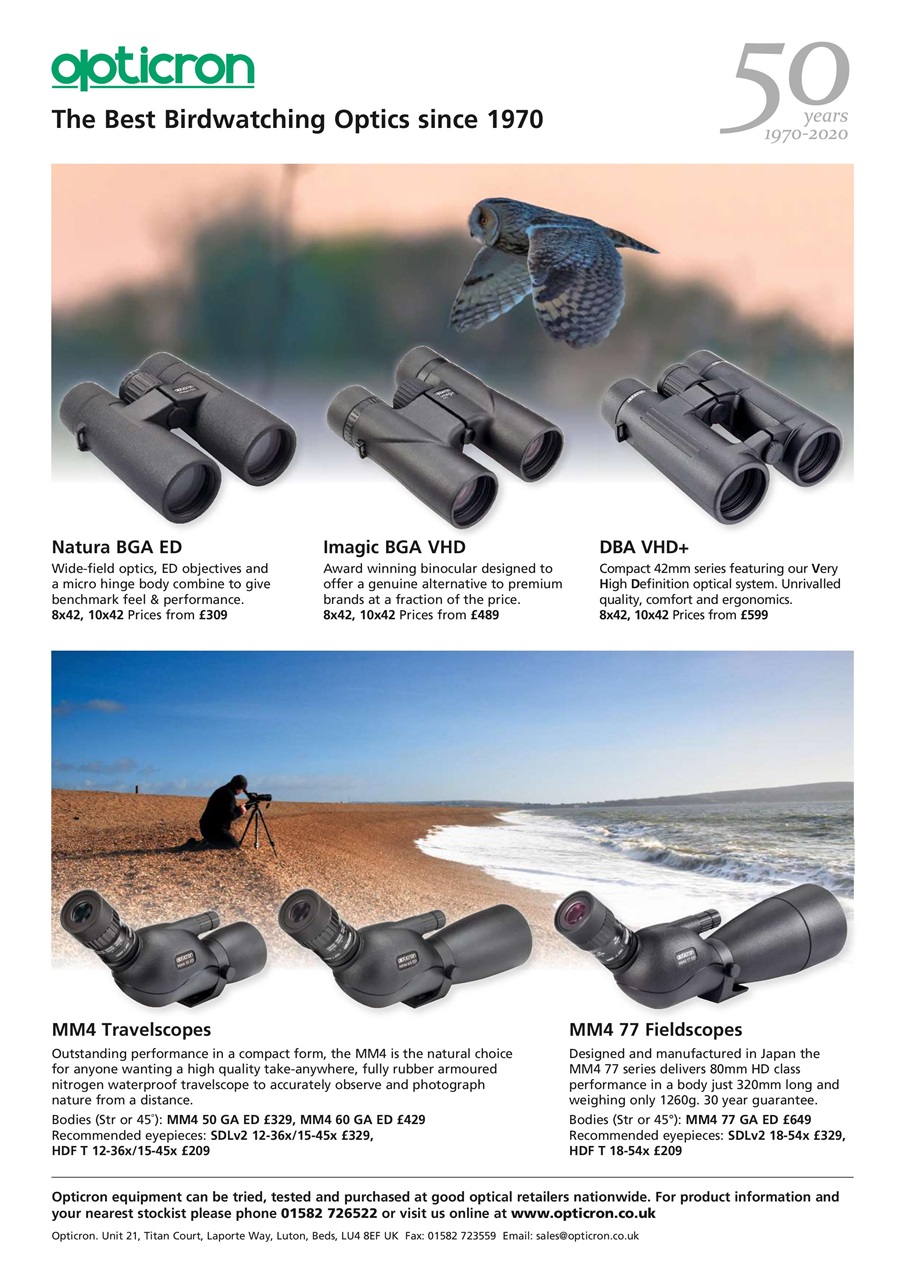 Bird Watching Preview Pages