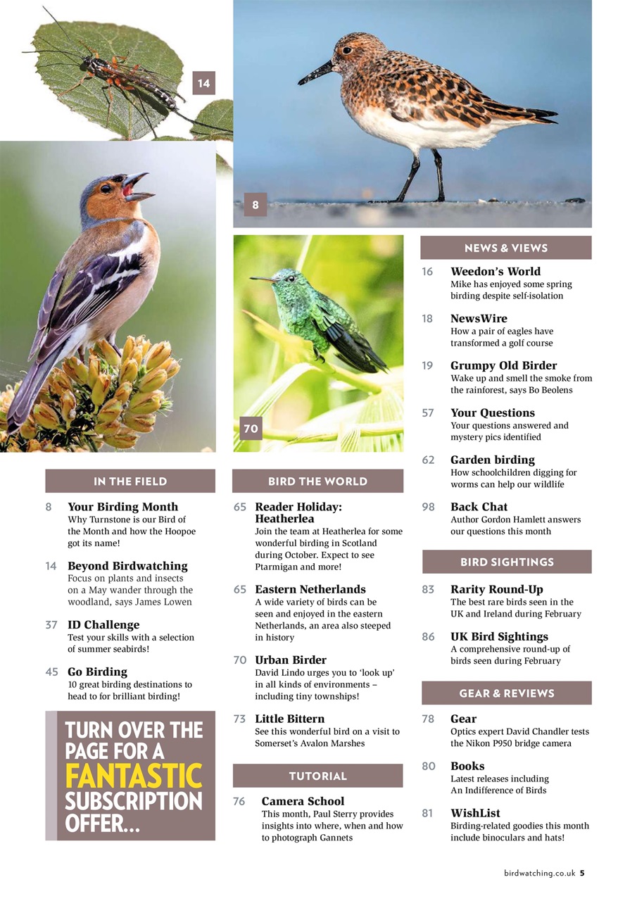 Bird Watching Preview Pages