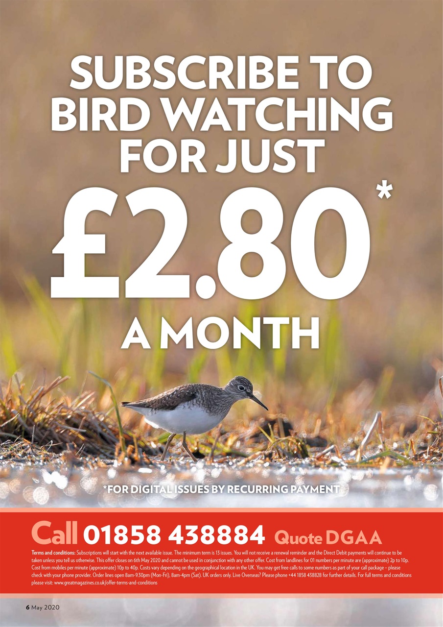 Bird Watching Preview Pages