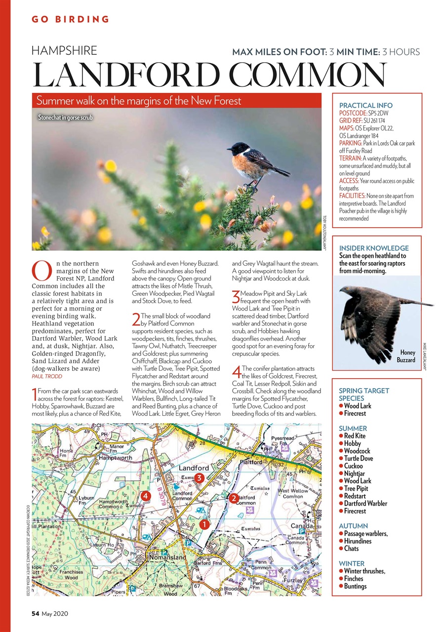 Bird Watching Preview Pages