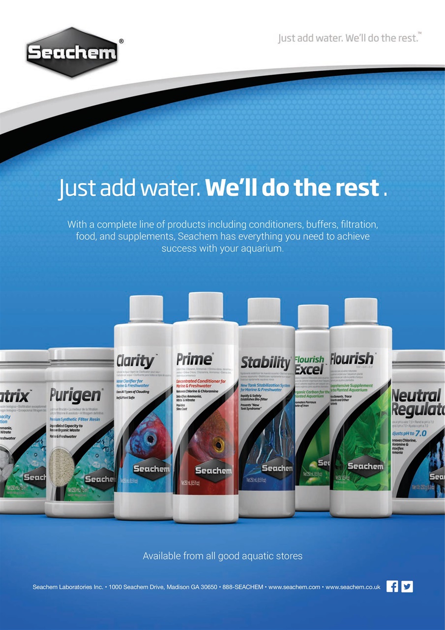 Practical Fishkeeping Preview Pages