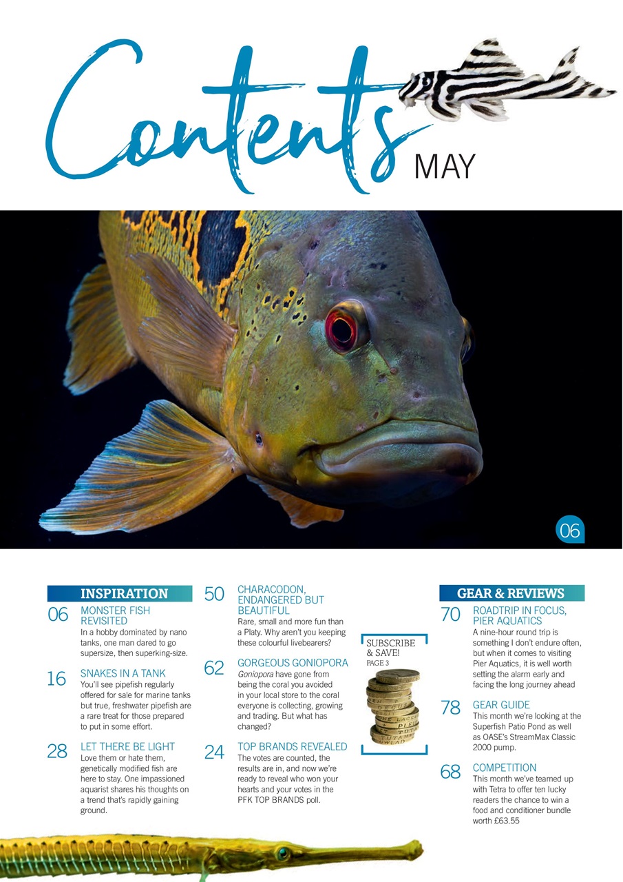 Practical Fishkeeping Preview Pages