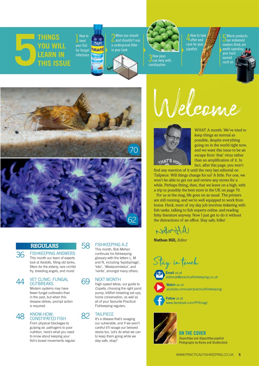 Practical Fishkeeping Preview Pages