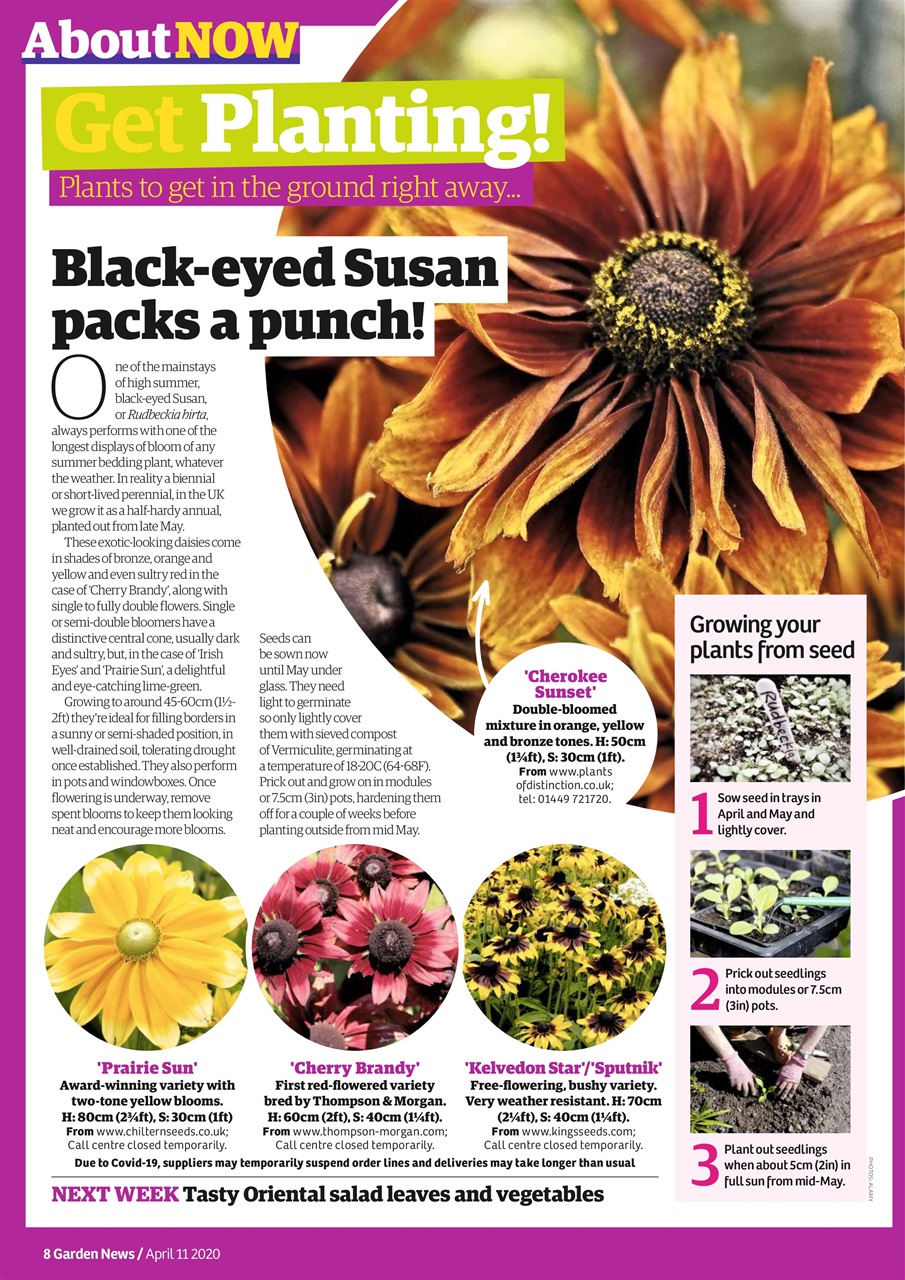 Garden News Preview Pages