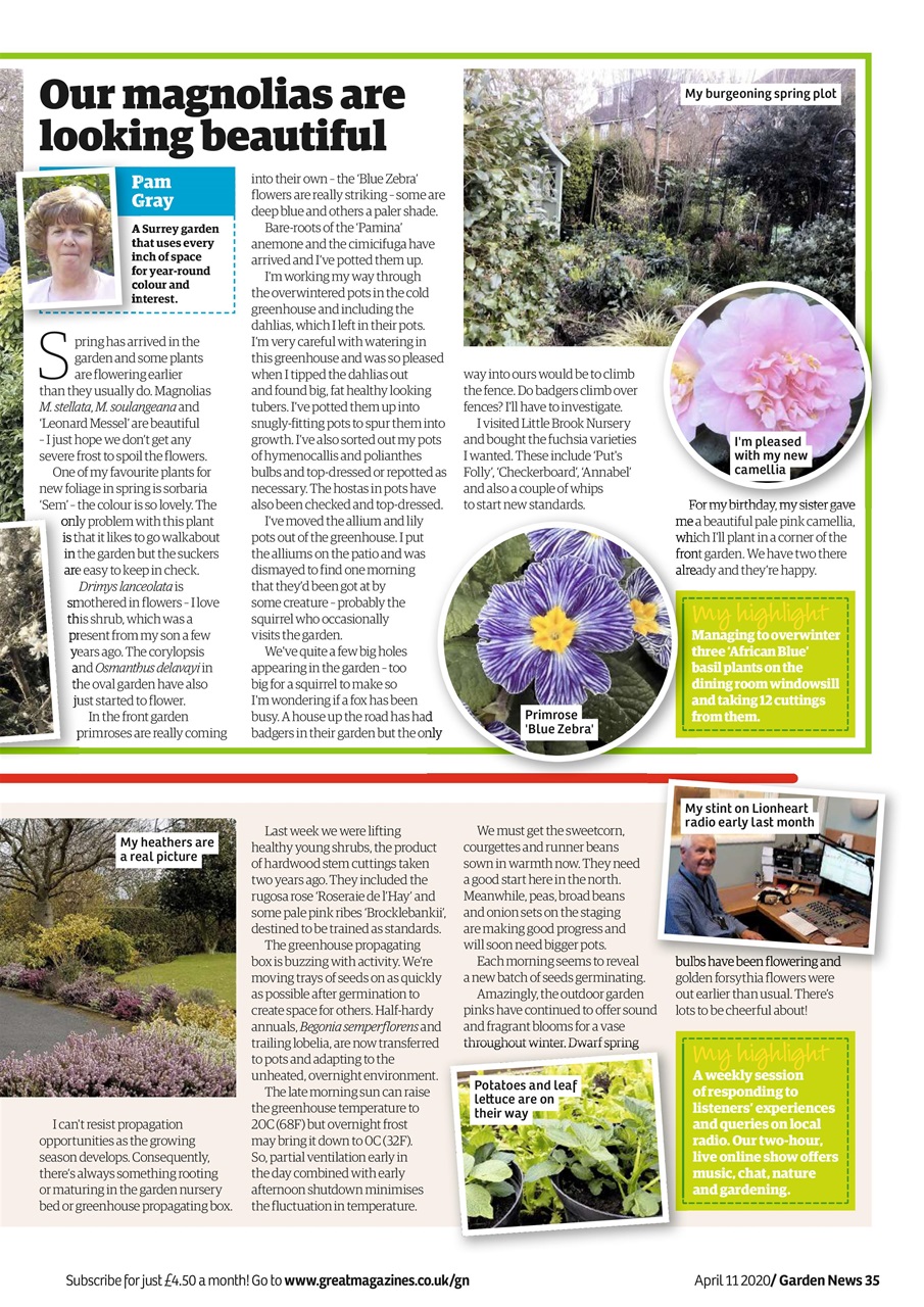 Garden News Preview Pages