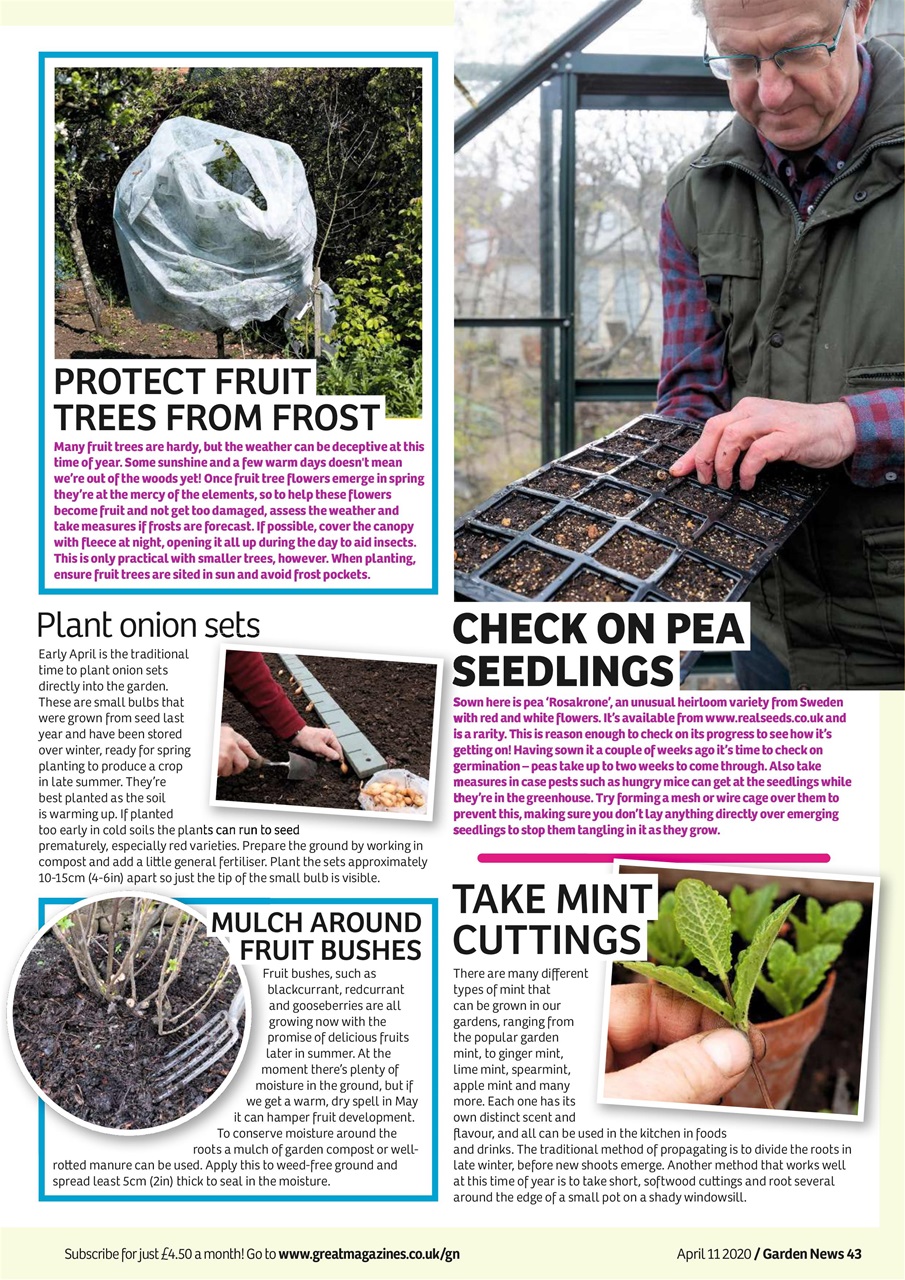 Garden News Preview Pages