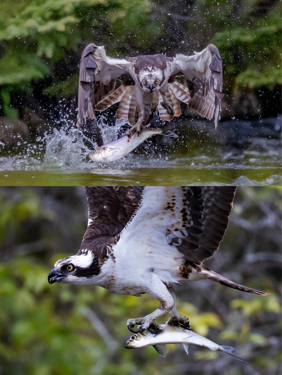 Outdoor Photographer Preview Pages
