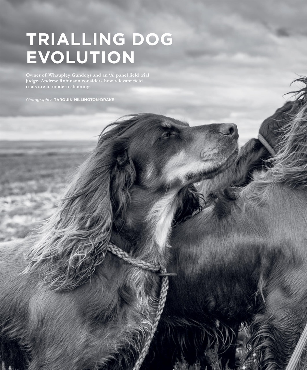 Fieldsports Journal Preview Pages