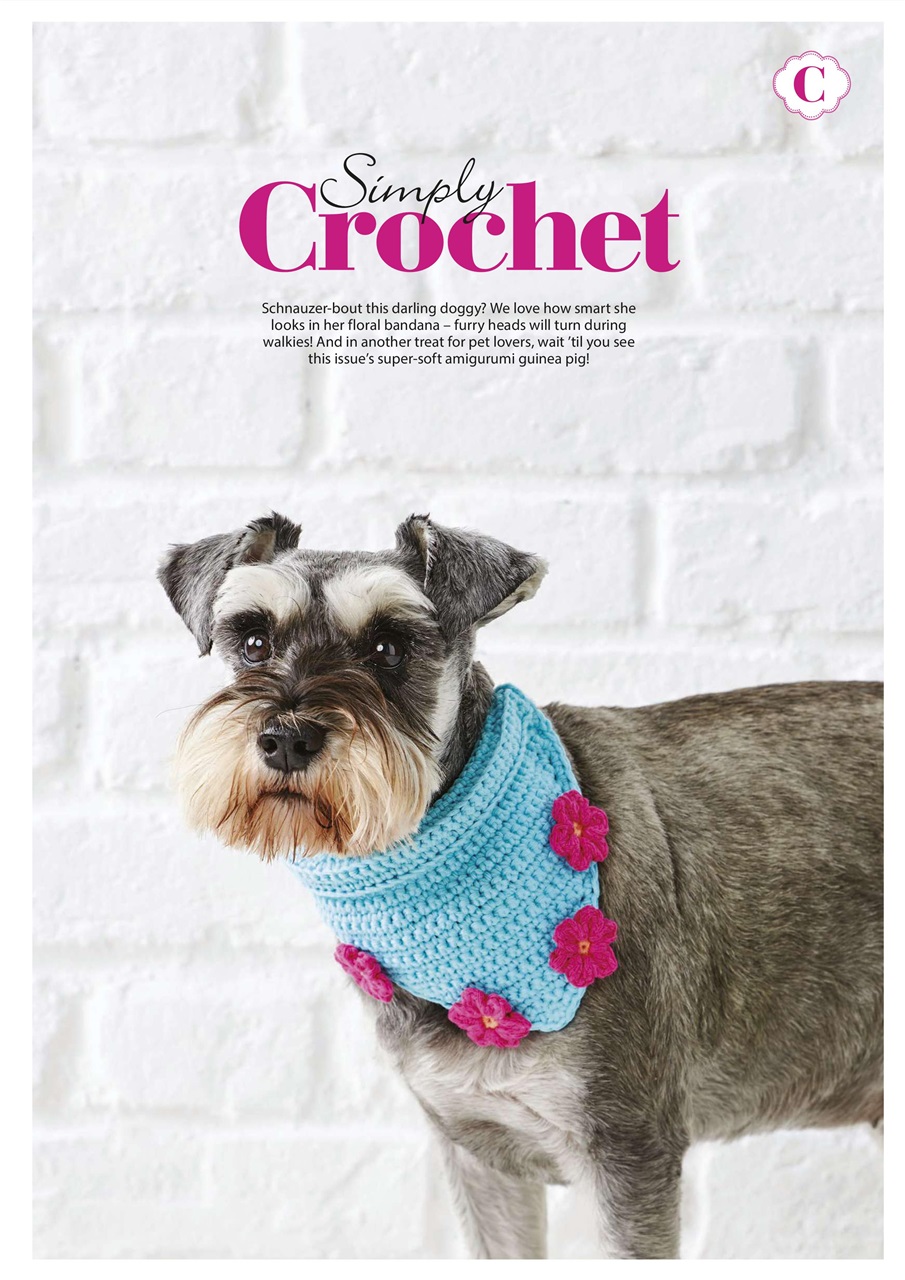 Simply Crochet Preview Pages