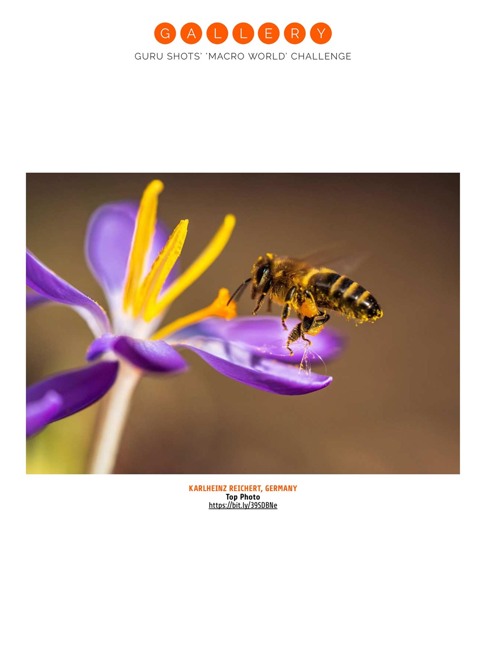 Photography Week Preview Pages