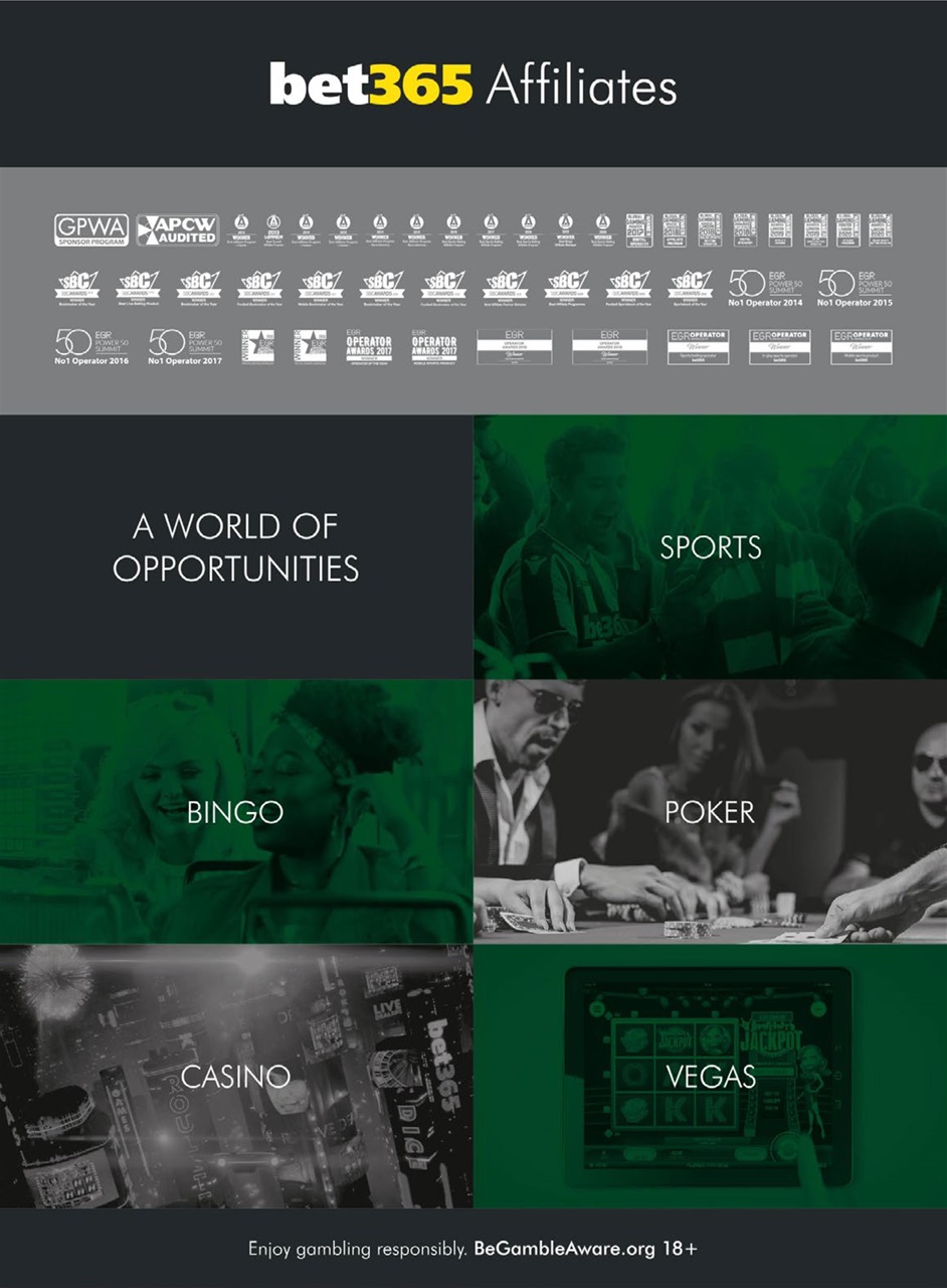 Trafficology Preview Pages