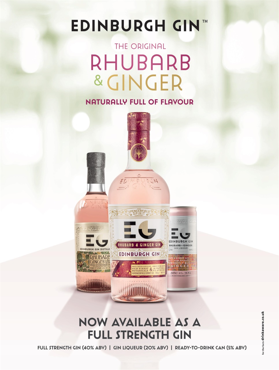 Gin Magazine Preview Pages