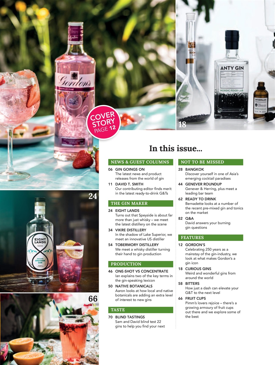 Gin Magazine Preview Pages