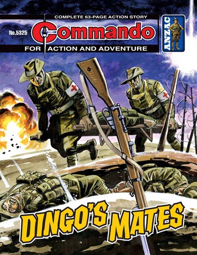 Commando issue 