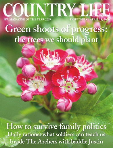 Country Life issue 