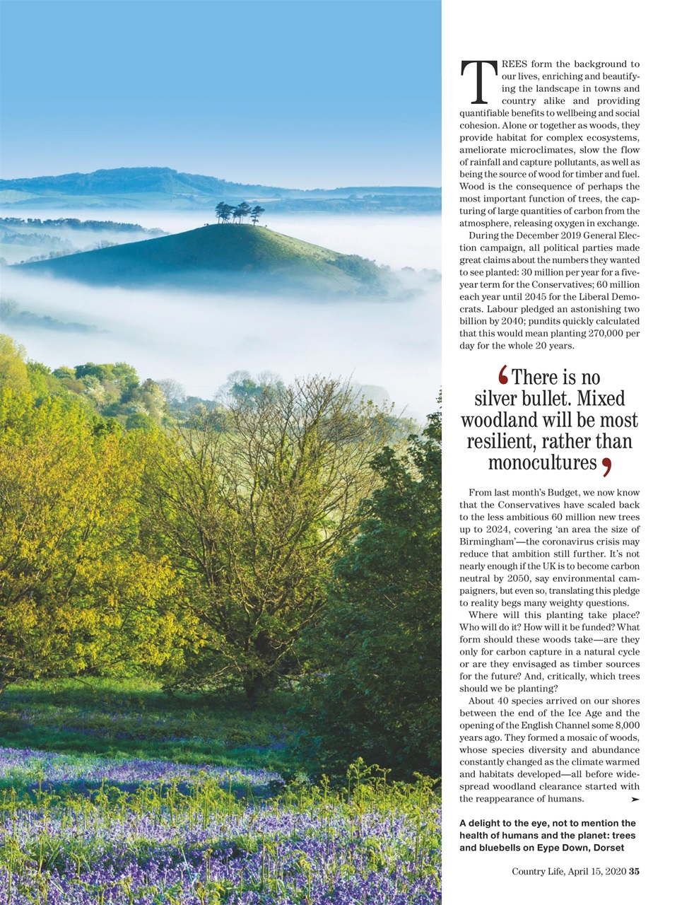 Country Life Preview Pages