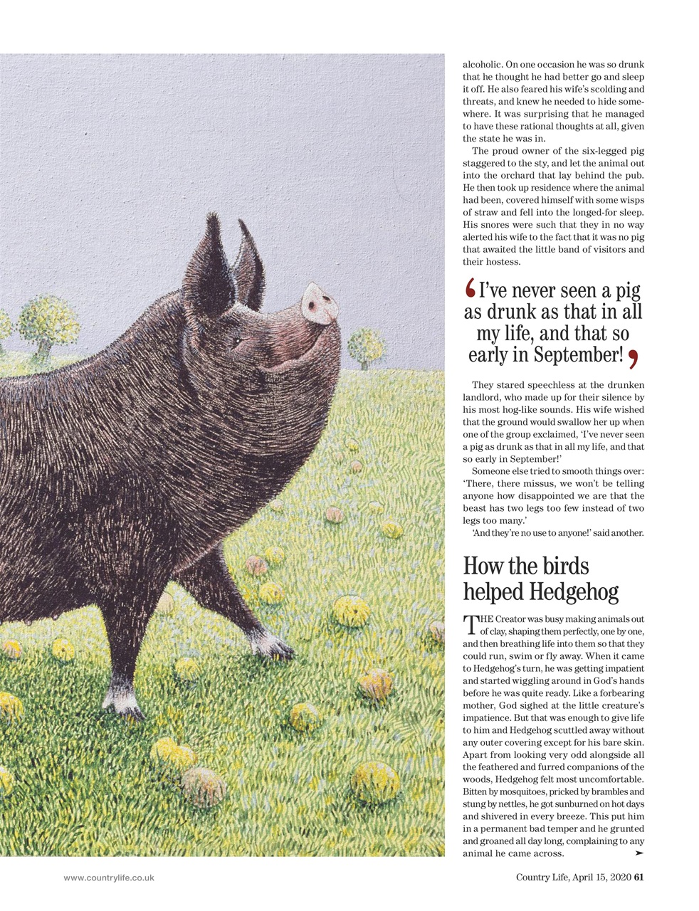 Country Life Preview Pages