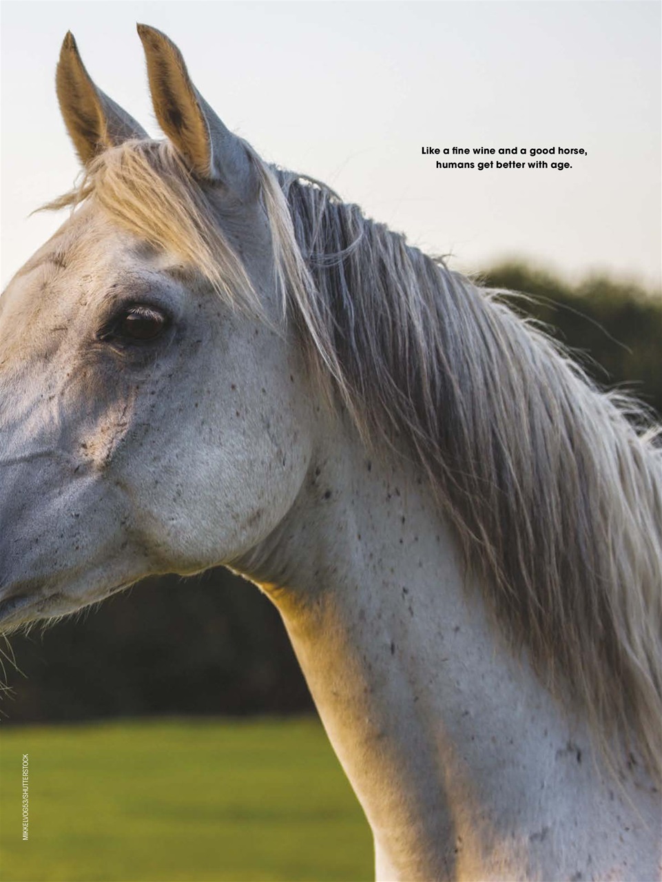 Horse Illustrated Magazine Preview Pages