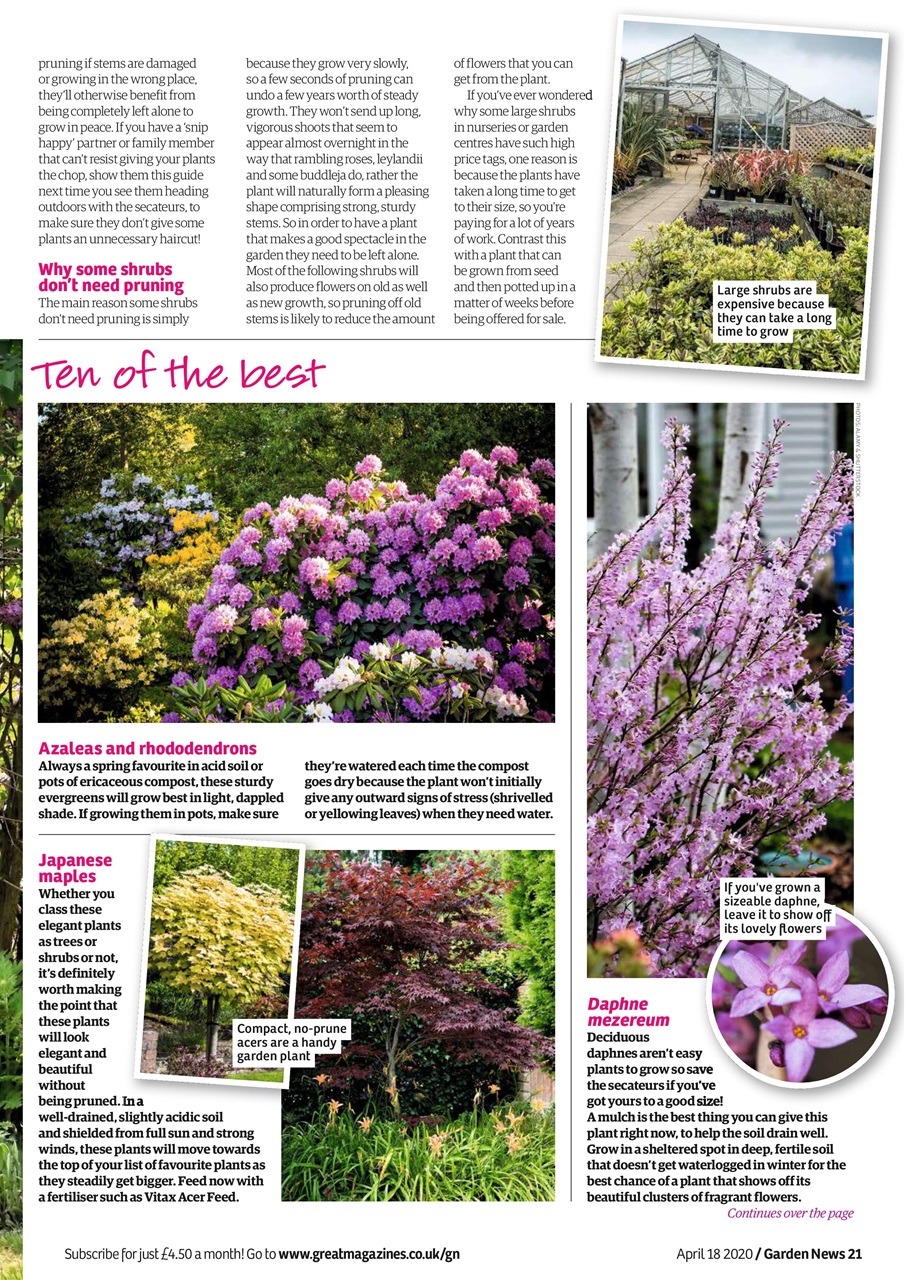 Garden News Preview Pages