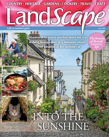LandScape issue June 2020