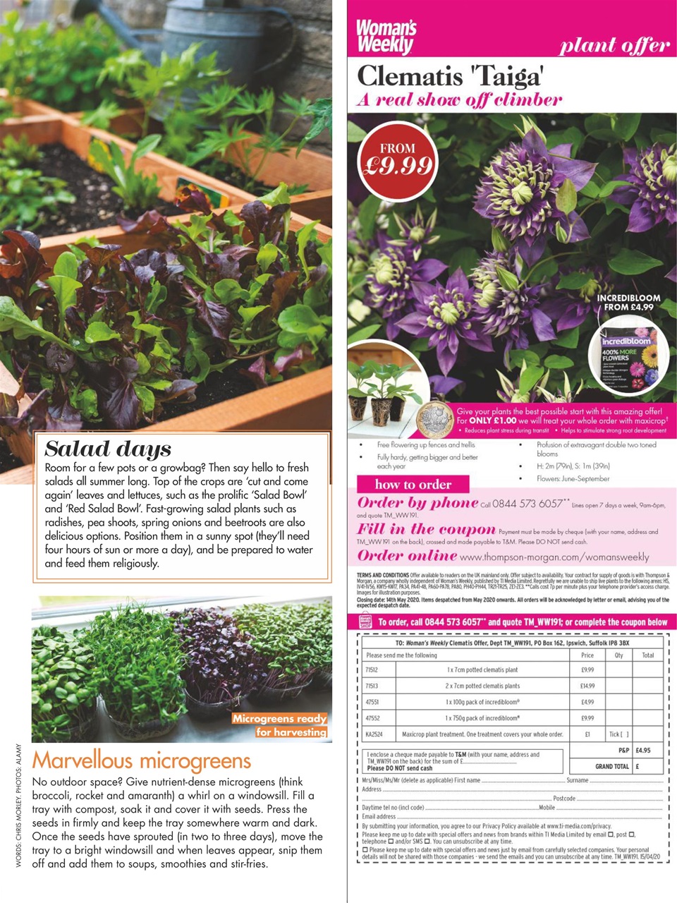 Woman's Weekly Preview Pages