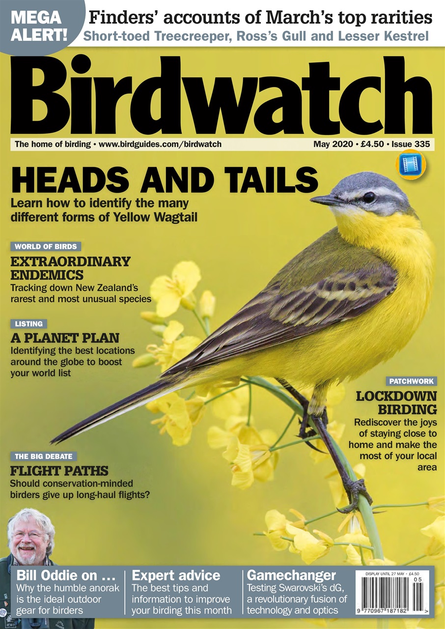 Birdwatch Magazine Preview Pages