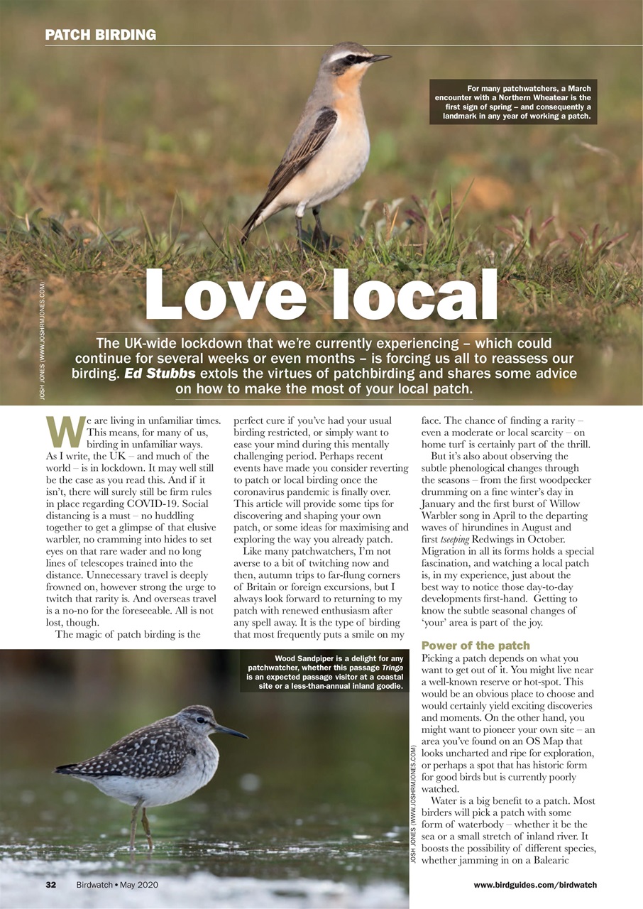 Birdwatch Magazine Preview Pages