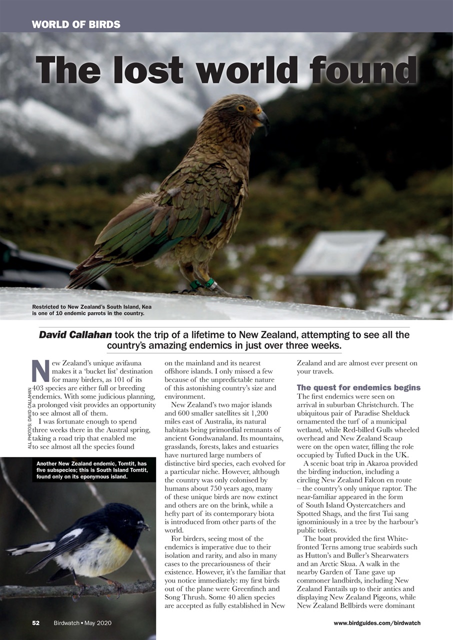 Birdwatch Magazine Preview Pages