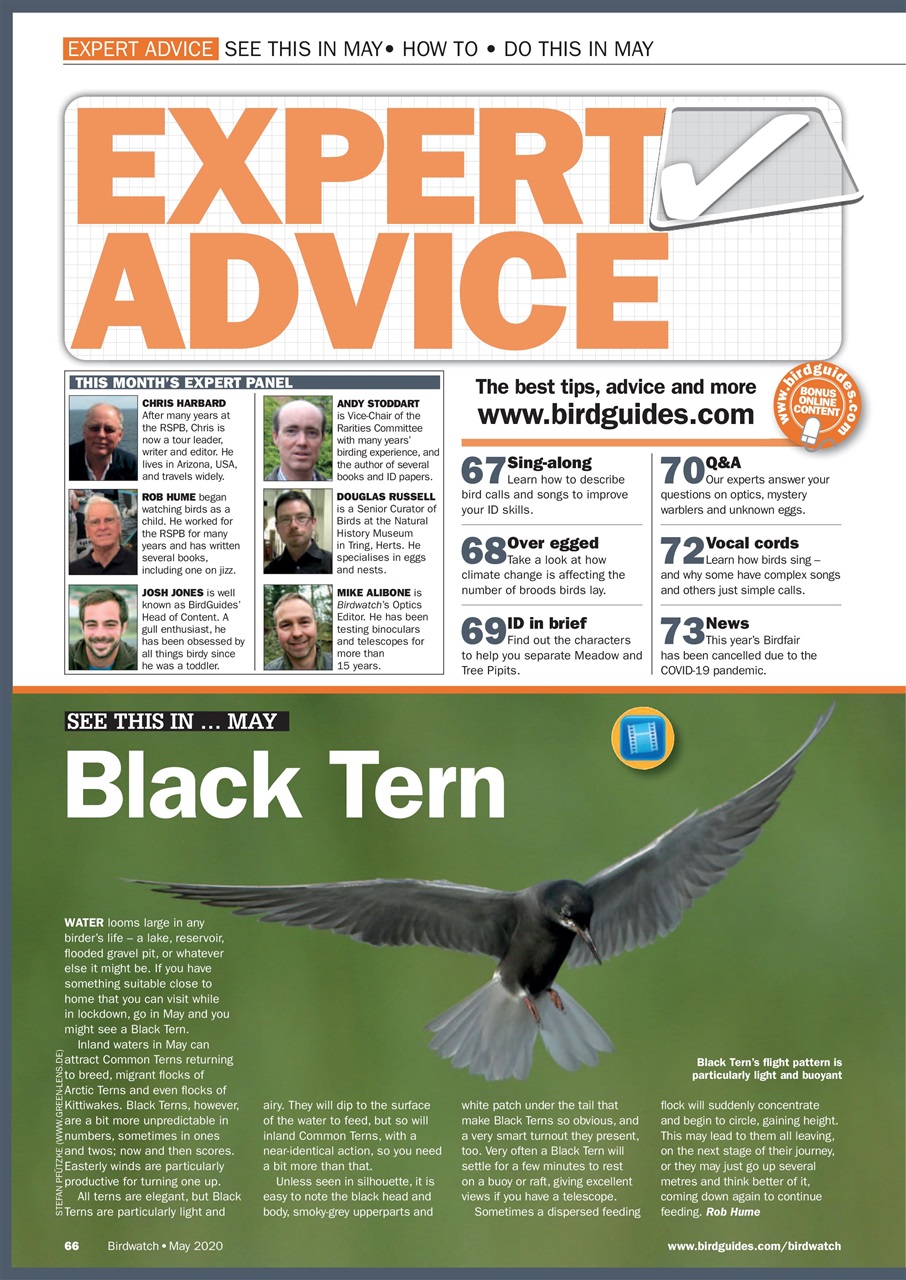 Birdwatch Magazine Preview Pages