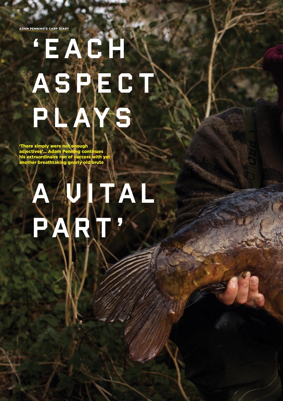 CARPology Magazine Preview Pages