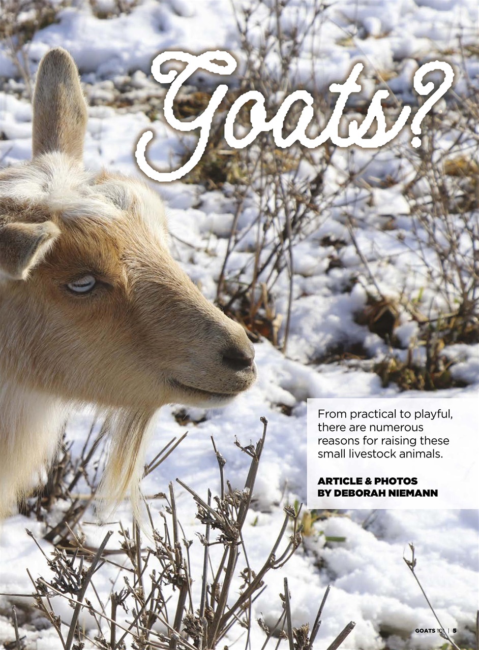 Hobby Farms Magazine Preview Pages