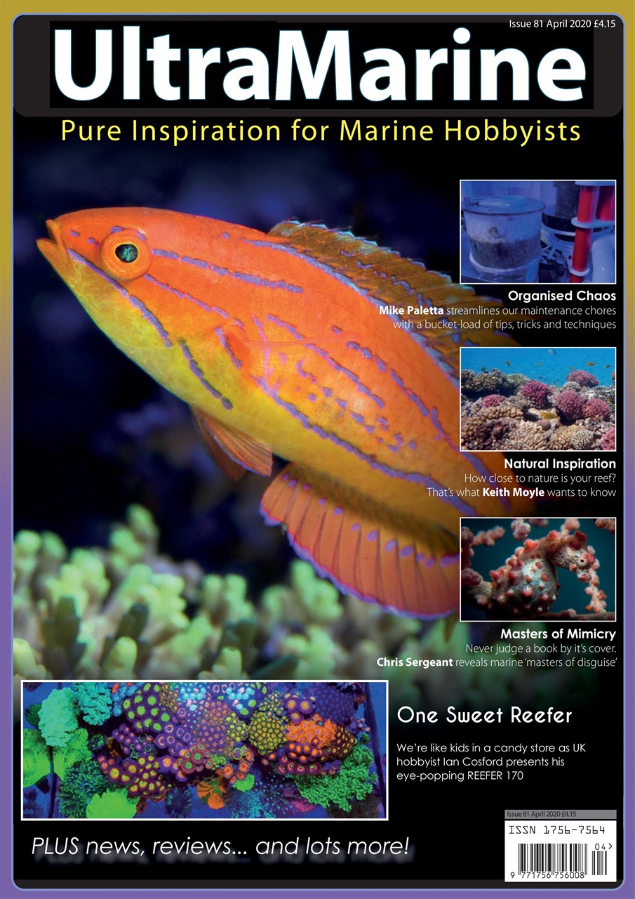 UltraMarine Magazine Preview Pages