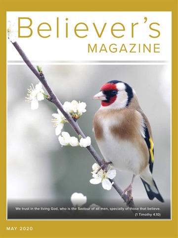 Believer Magazine issue May 2020