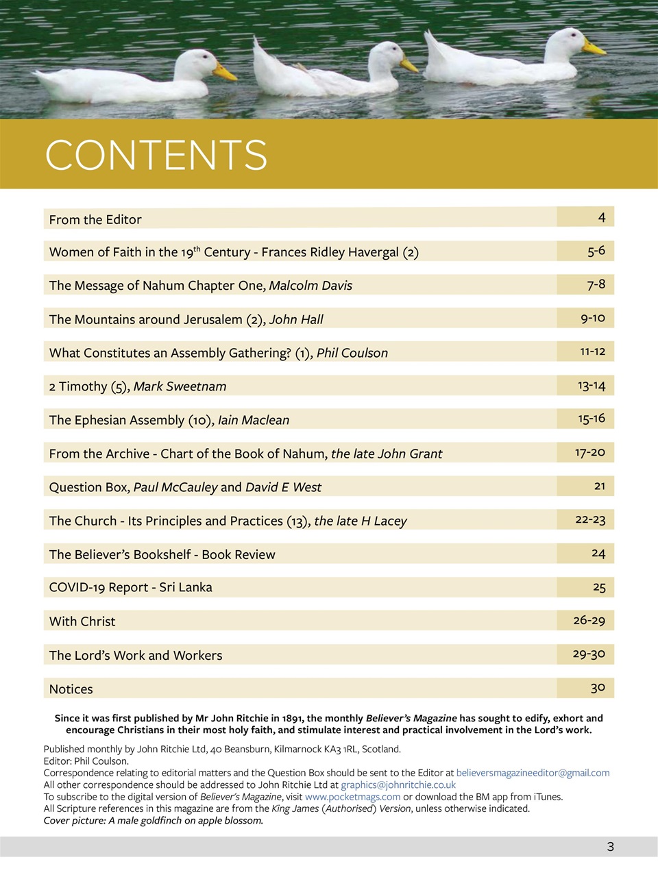 Believer Magazine Preview Pages