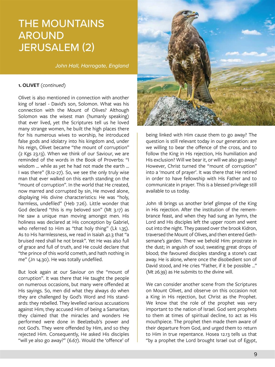 Believer Magazine Preview Pages