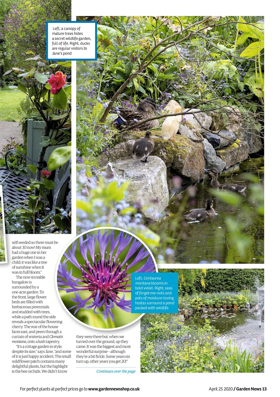 Garden News Preview Pages
