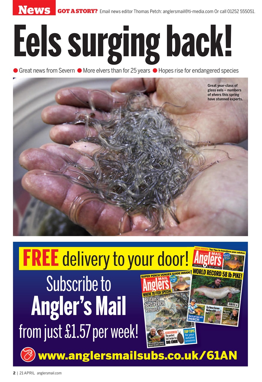 Anglers Mail Preview Pages