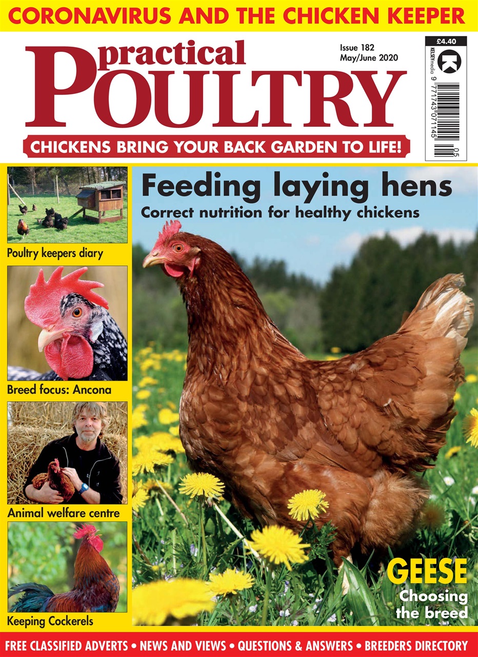 Practical Poultry Preview Pages