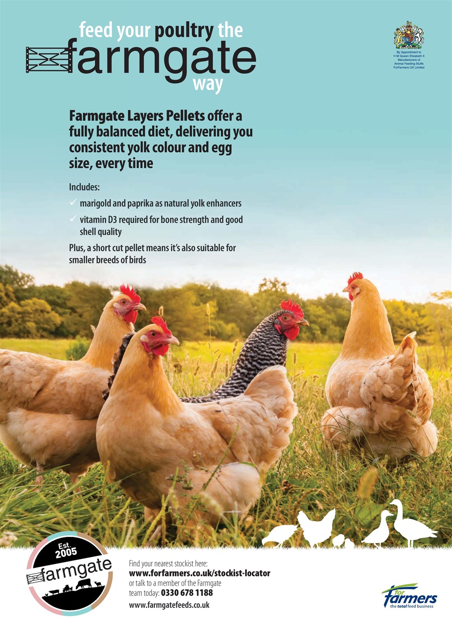 Practical Poultry Preview Pages