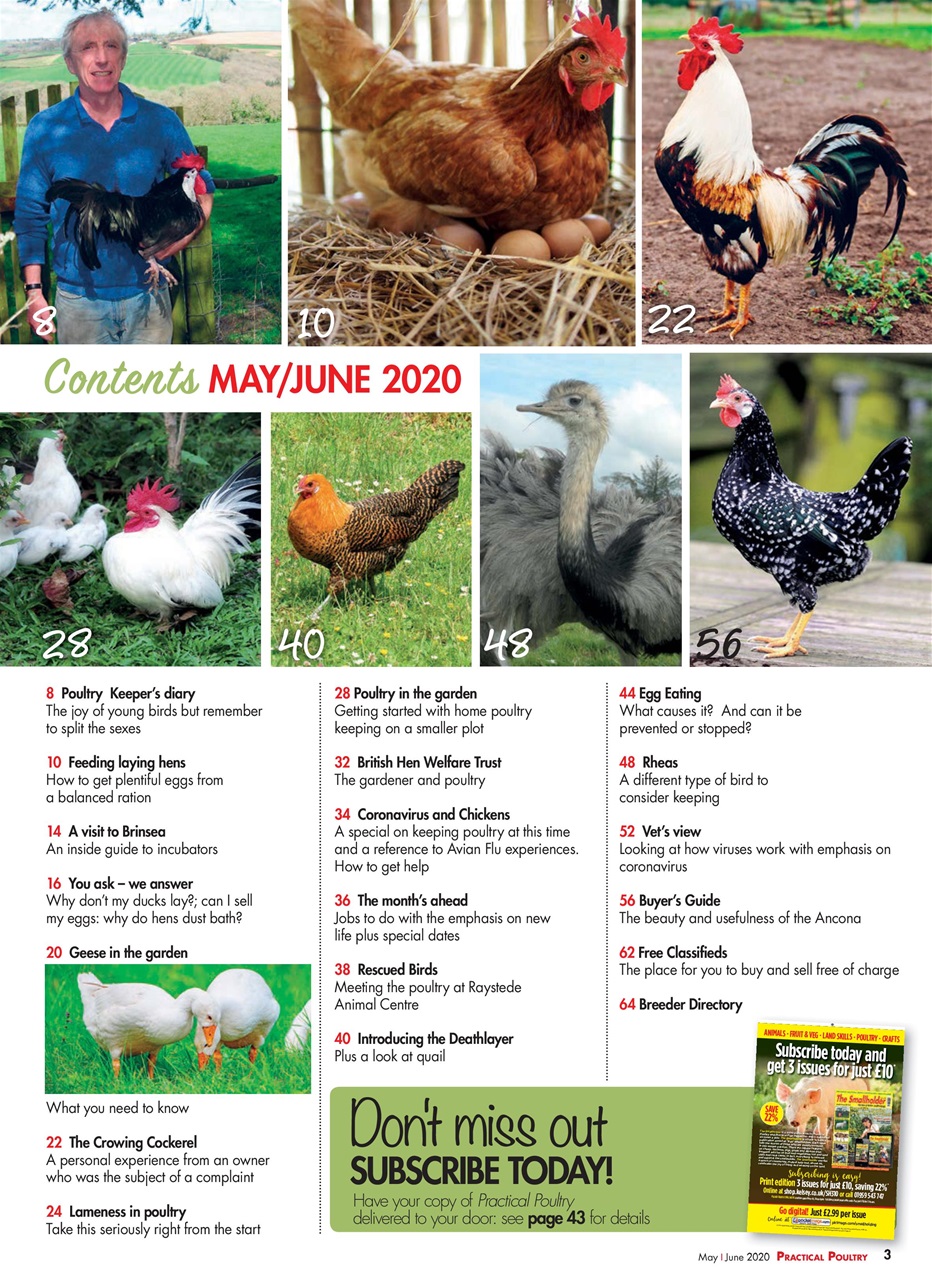Practical Poultry Preview Pages