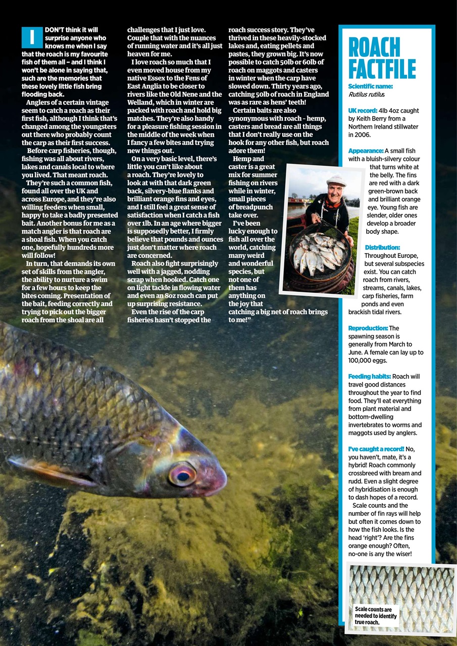 Angling Times Preview Pages