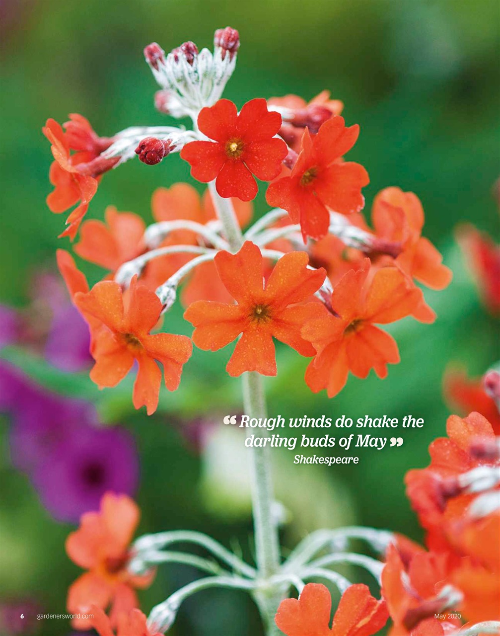 BBC Gardeners’ World Magazine Preview Pages