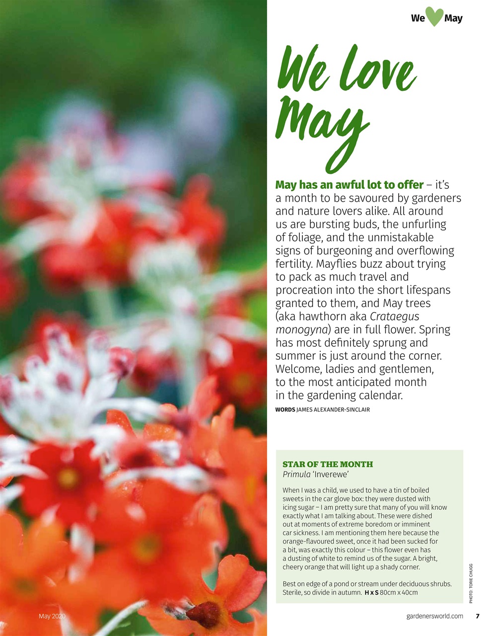 BBC Gardeners’ World Magazine Preview Pages