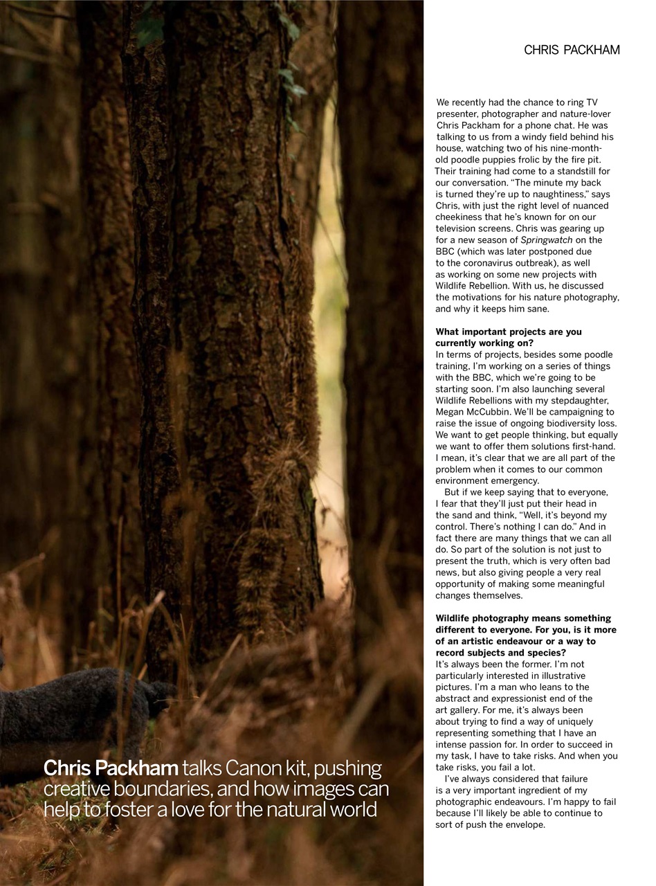 Digital Photographer Preview Pages