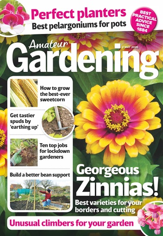 Amateur Gardening issue 2-May-2020